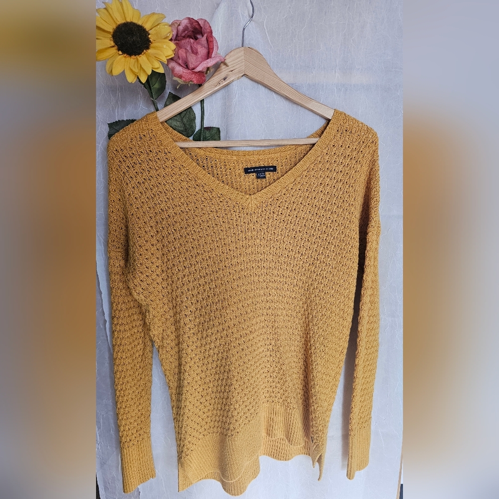 American Eagle Outfitters Autumn orange V-Neck Sweater with Textured Knit